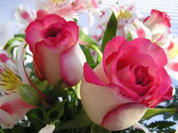 ورد طبيعي ملون اروع باقات من الورود الجميله الملونه صور حب