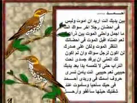 قصيدة عن اسم احمد - اروع القصائد باسم احمد 6747 2