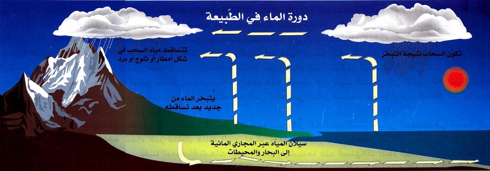 دورة الماء في الطبيعة بالصور - اتعرف علي المراحل الي بتمر بها 2876