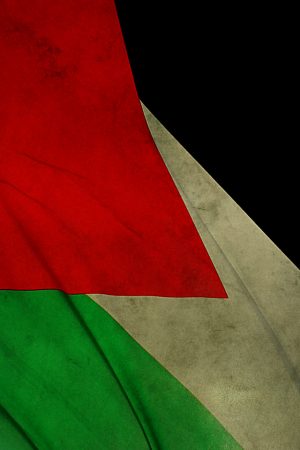 صور اعلام فلسطين - خلقيات للعلم الفلسطيني 1046 6