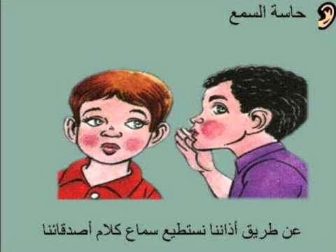 الحواس الخمس للاطفال بالصور - تعرف على حواس طفلك الخمسة 3221 15