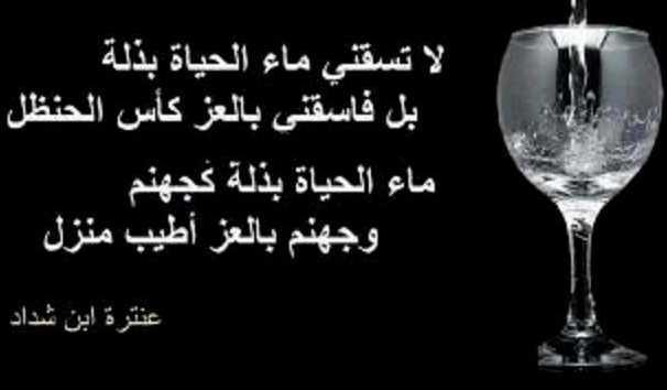 لا تسقني ماء الحياة بذلة , شعر عربي اصيل لعنترة بن شداد