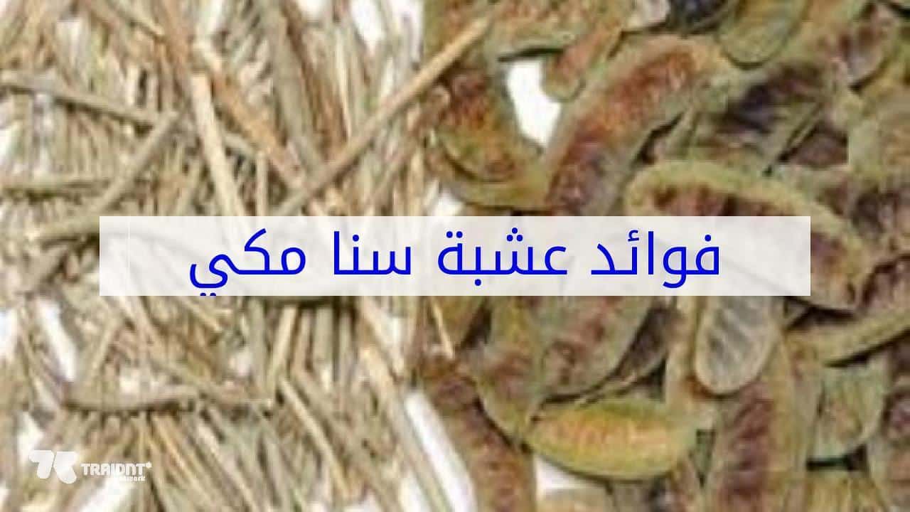 على الرغم من وجود من افعل عشب السنامكي الى ان وجود له اضرار يجب تجنبها ،اضرار سنا مكي 10495 1