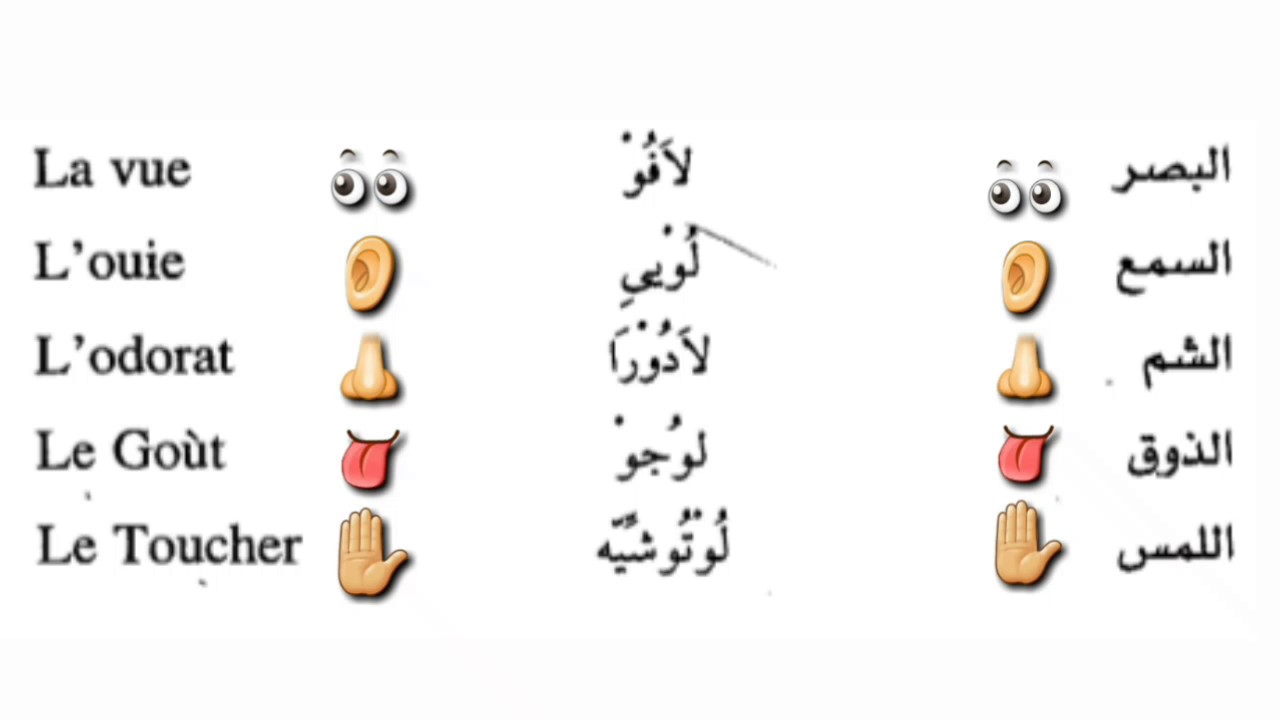 الحواس الخمس للاطفال بالصور - تعرف على حواس طفلك الخمسة 3221 3