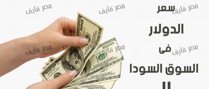 سعر الدولار في السوق السوداء في مصر - ازدياد سعر الدولار 2158 1