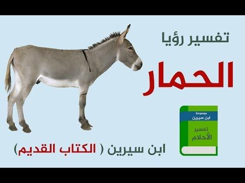 الحمار في الحلم , رؤيه الحمار فى المنام