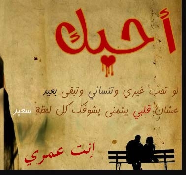 قصائد حب وشوق - كلام عشاق 2157 3