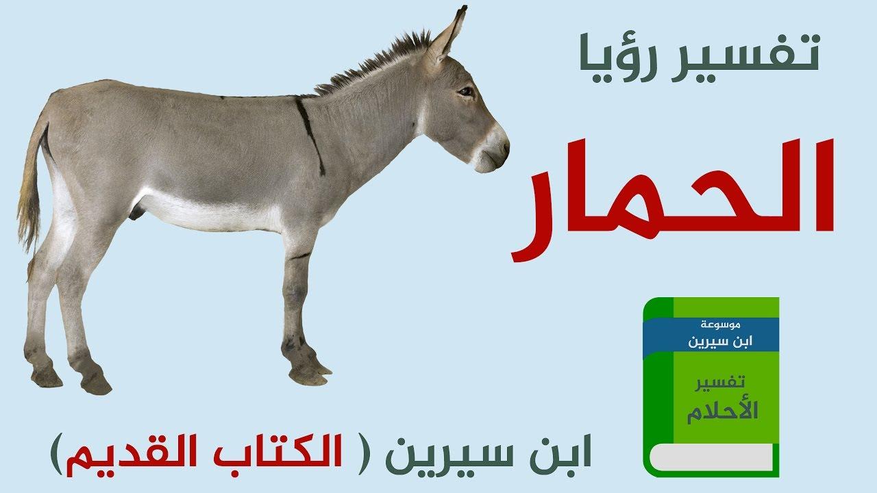 تفسير رؤية الحمار في المنام - الحمار فى الحلم 4353 2