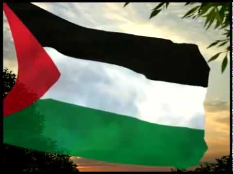 صور لعلم فلسطين - صور فلسطين الحبيبه 2076 2