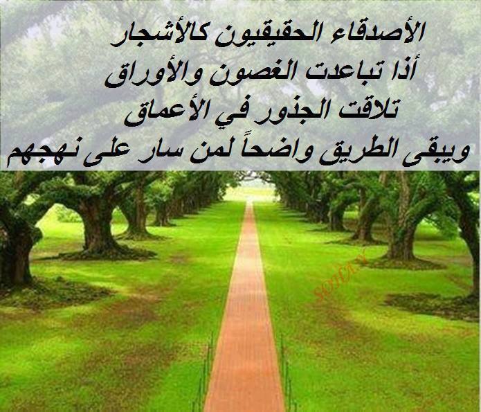 اجمل حكمة عن الصداقة - اروع كلمات عن الاصدقاء 6184 6