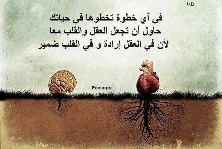 صور حكم واشعار - صورة كتابيه حلوة 3114 6