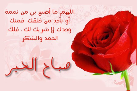 رسائل صباحية للحبيب - رسائل صباحية 6653 1