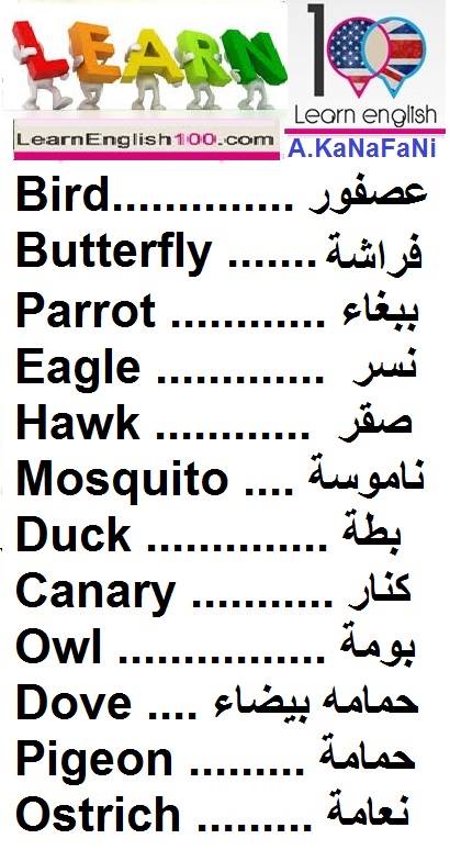 كلمات انجليزية مترجمة - جمل مترجمة من العربية للانجليزية 3849