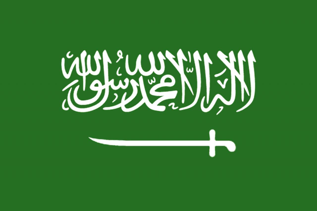 صور العلم السعودي - اجمل صور عن السعوديه 9423 8