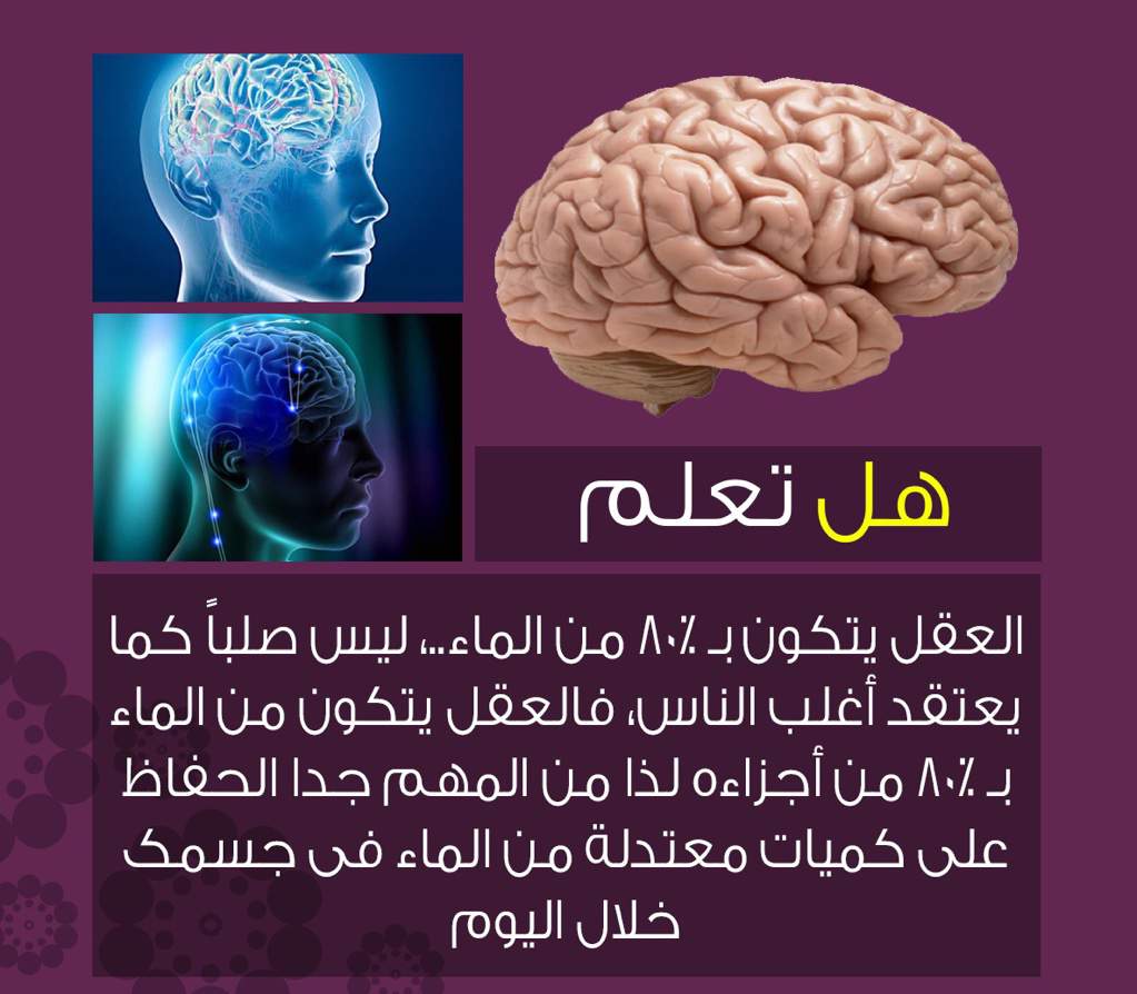 معلومات مفيده علي صورة ،هل تعلم هل تعلم صور 9326 6