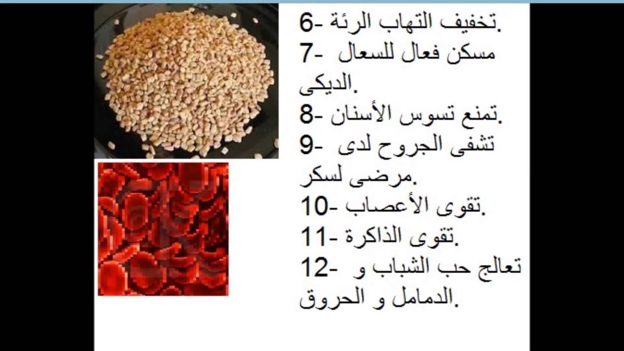 اضرار الحلبه للبنات , اضرار الحلبة للمراه الحامل وفوائدها لجميع النساء