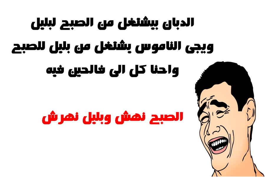 نكت سافلة مصرية - اضحك من قلبك 10789 2