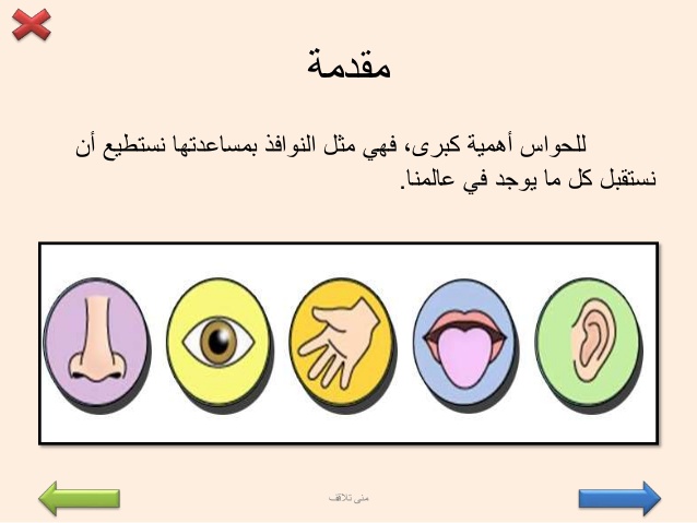 الحواس الخمس للاطفال بالصور - تعرف على حواس طفلك الخمسة 3221 1