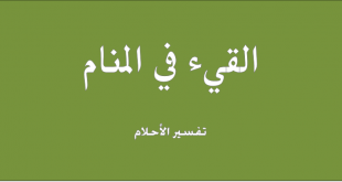 القيء في المنام - تفسير الترجيع فى الحلم 836 1