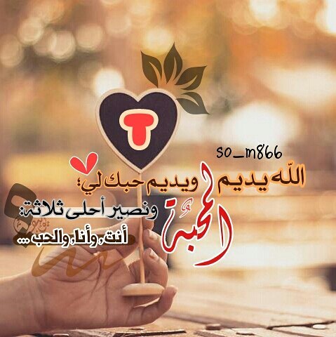 صور علي حرف T - اروع الصور لحرف T 6567 1