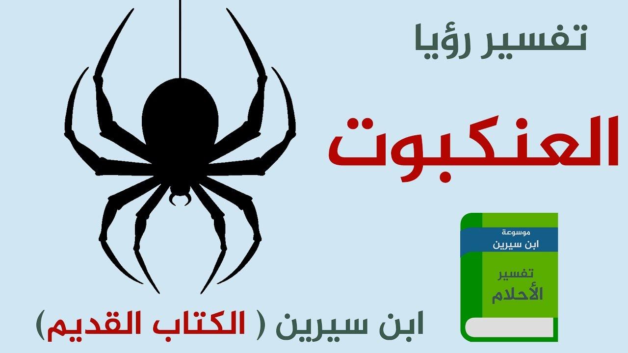 معنى لدغة عنكبوت اسود صغير في الحلم - توضيح عضه العنكبوت فى المنام 6070 3