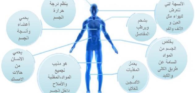 الماء في الجسم , تعرف على فوائد الماء التي لا تعرفها