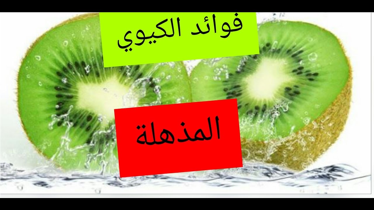 فوائد الكيوي للجسم - اهميه الكيوي وفوائده المذهله لصحه الجسم 10579 1