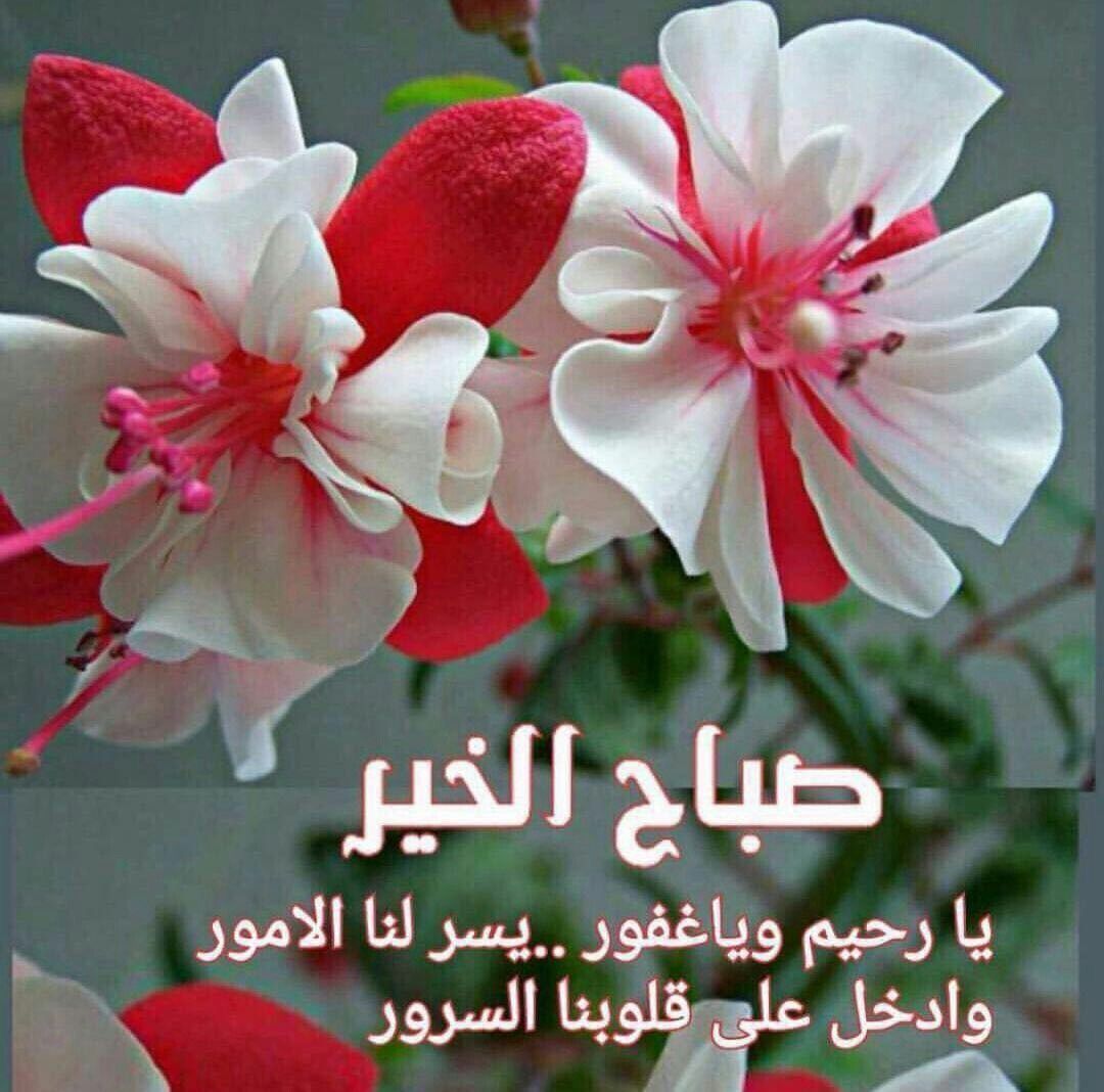 اجمل صور عن صباح الخير،صور صباح الخير منوعه 9122 6