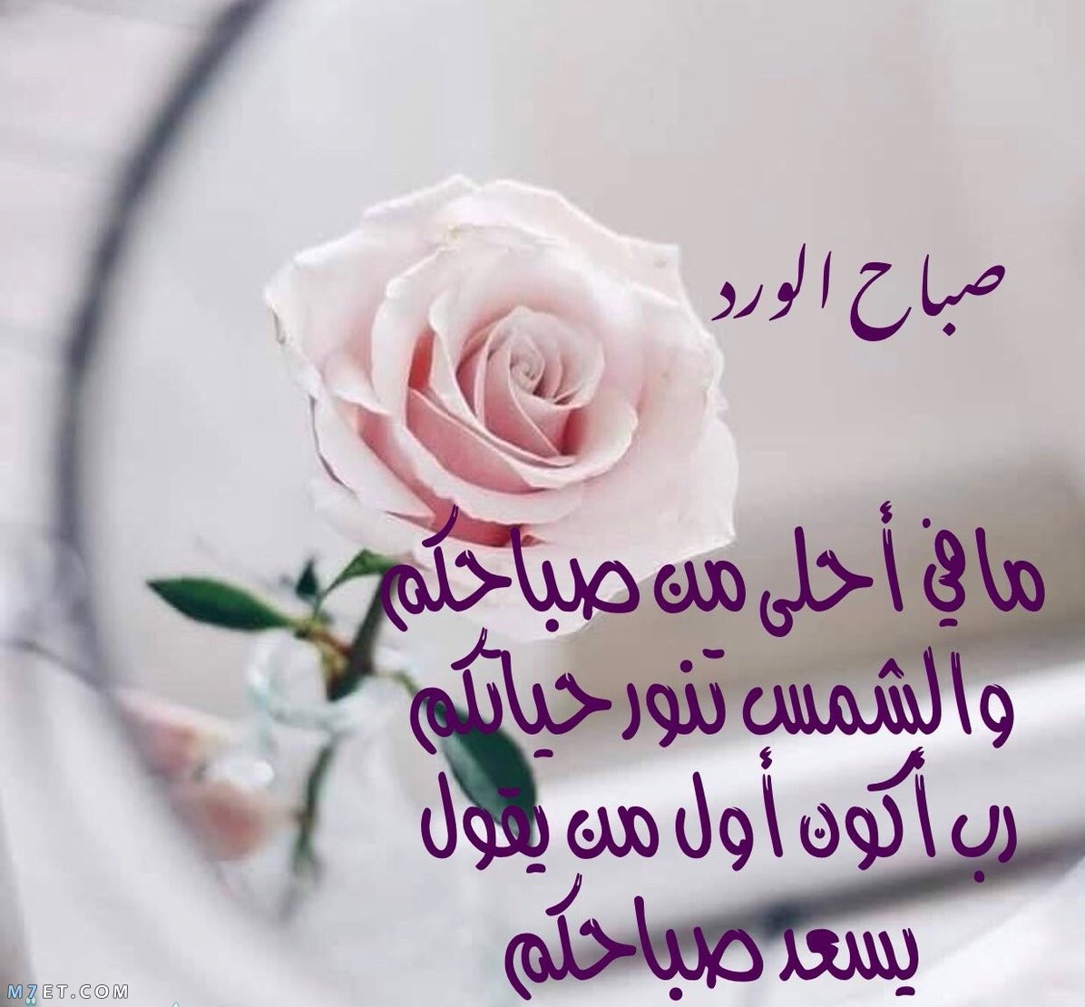 صور وعبارات صباح الخير- اجمل صباح على عيونك 10204