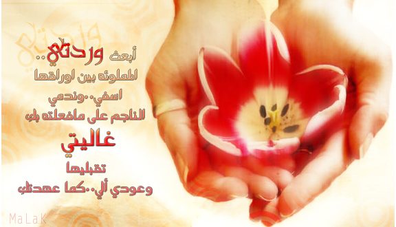 رسالة اعتذار للحبيب - افضل عبارات رسائل الاعتذار للاحبة 6841 3