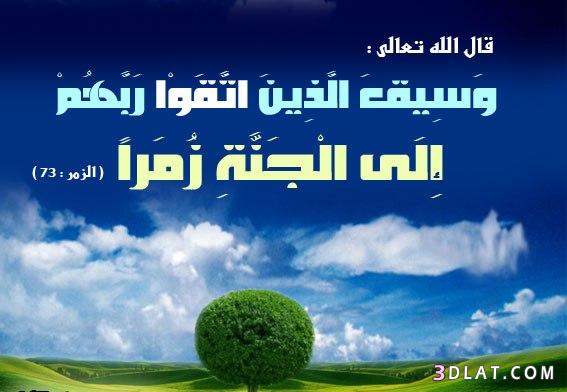 صور اسئله دينيه - اجمل كلام فى الكون ثقف نفسك 3272 4