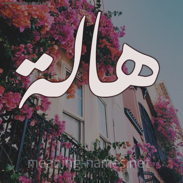 صور اسم Hala - تصميم باسم حلا 6530 2