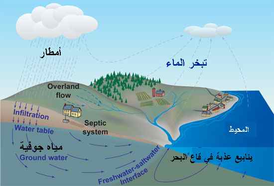 دورة الماء في الطبيعة بالصور - اتعرف علي المراحل الي بتمر بها 2876 6