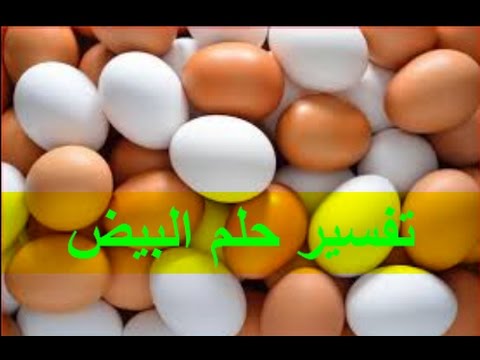 تفسير حلم جمع البيض - رايت البيض الكثير في المنام 10921