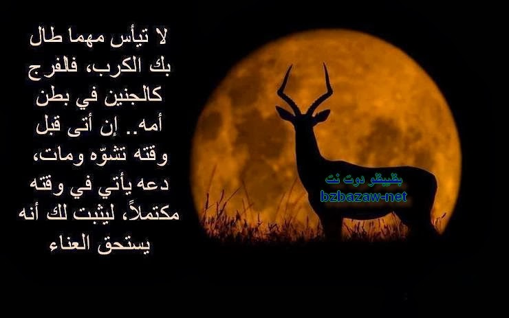 صورة اسد مكتوب عليه - خلفيات اسود للكمبيوتر 6535 4