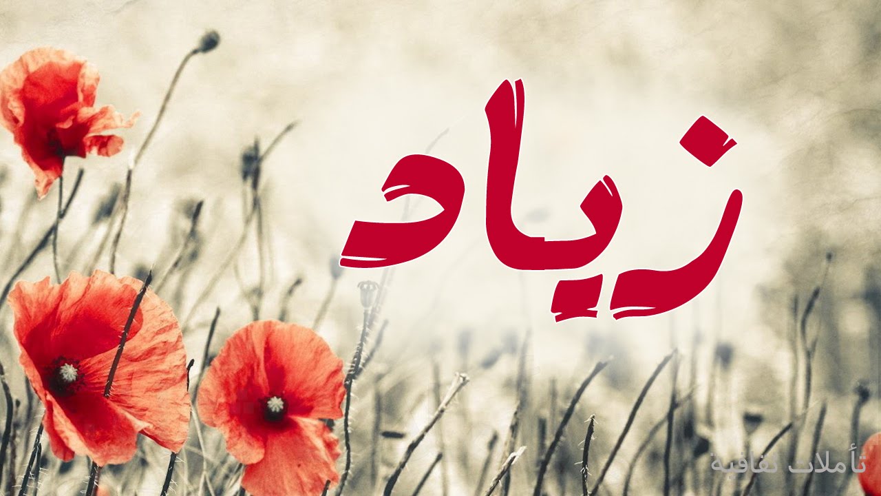 صور خلفيات روعة اسم زياد - معنى اسم زياد 5817