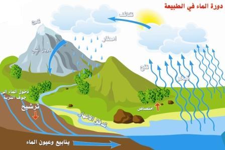 دورة الماء في الطبيعة بالصور - اتعرف علي المراحل الي بتمر بها 2876 5