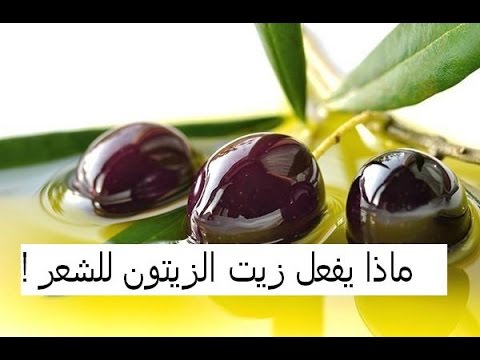 زيت الزيتون للشعر الدهني - مش هتصدقي ماذا فعل زيت الزيتون بالشعر 10916 1