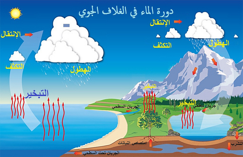 دورة الماء في الطبيعة بالصور - اتعرف علي المراحل الي بتمر بها 2876 4