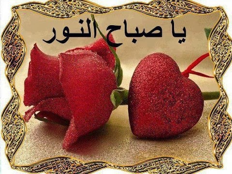 163 7 اروع بطاقات صباح الخير - صباح الخير علي الحلويين سوسن فاروق