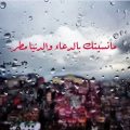 3439 9 خواطر عن المطر صور - اجمل قصائد عن المطر رونا ناصر