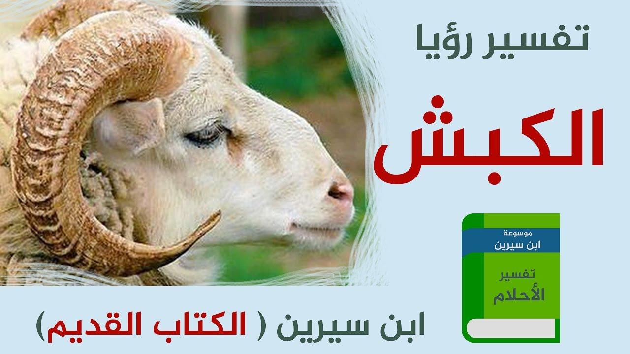 تفسير حلم الخروف , رؤيا الكبش فى المنام