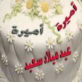 6437 9 صورة تورتة عيد ميلاد مكتوب عليها مير - اجمل التورتات مكتوب عليها رونا ناصر