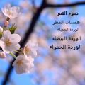 6678 اسماء بنات للفيس بوك - اجمل اسماء البنات جهراء دياب