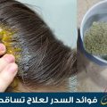 10471 2 افضل الخلطات التي تحافظ على الشعر وكثافته،ما فوائد السدر للشعر رونا ناصر